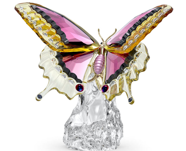 Idyllia: Butterfly