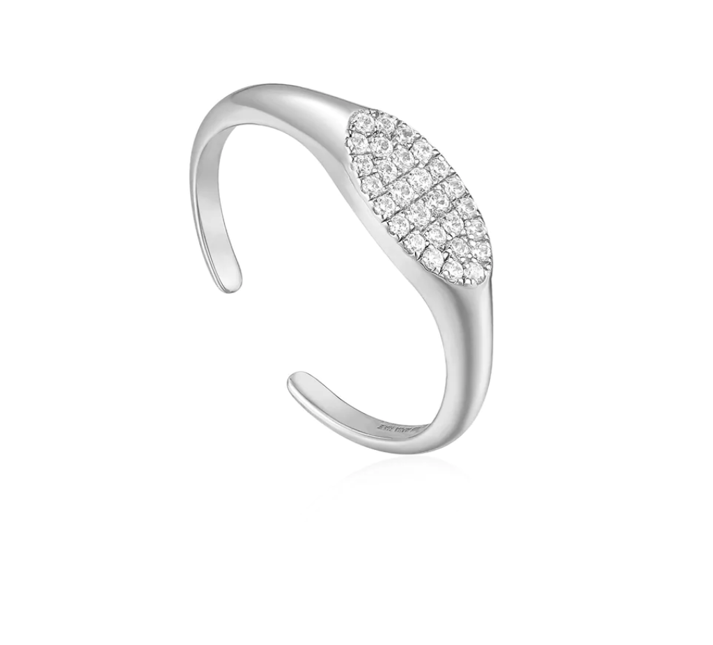 Glam Rock - Silver Adjustable Signet Ring