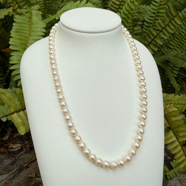 Japanese Akoya Pearls Necklace Strand (H)