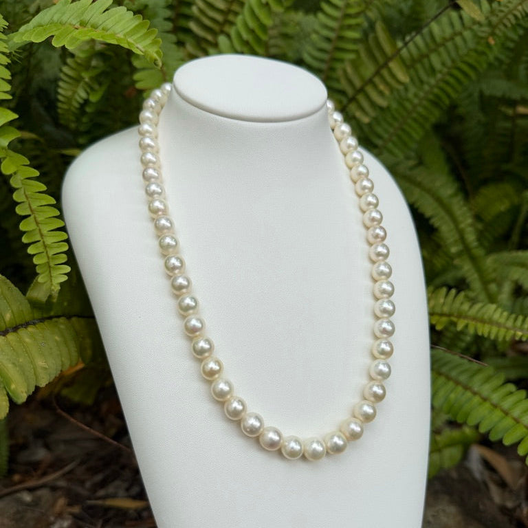 Japanese Akoya Pearls Necklace Strand (B)