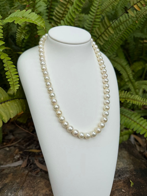Japanese Akoya Pearls Necklace Strand (B)