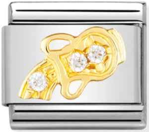 Zodiac - Aquarius with CZ Gold Charm