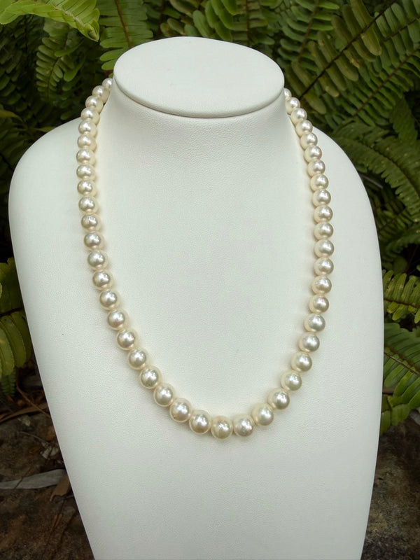 Japanese Akoya Pearls Necklace Strand (G)