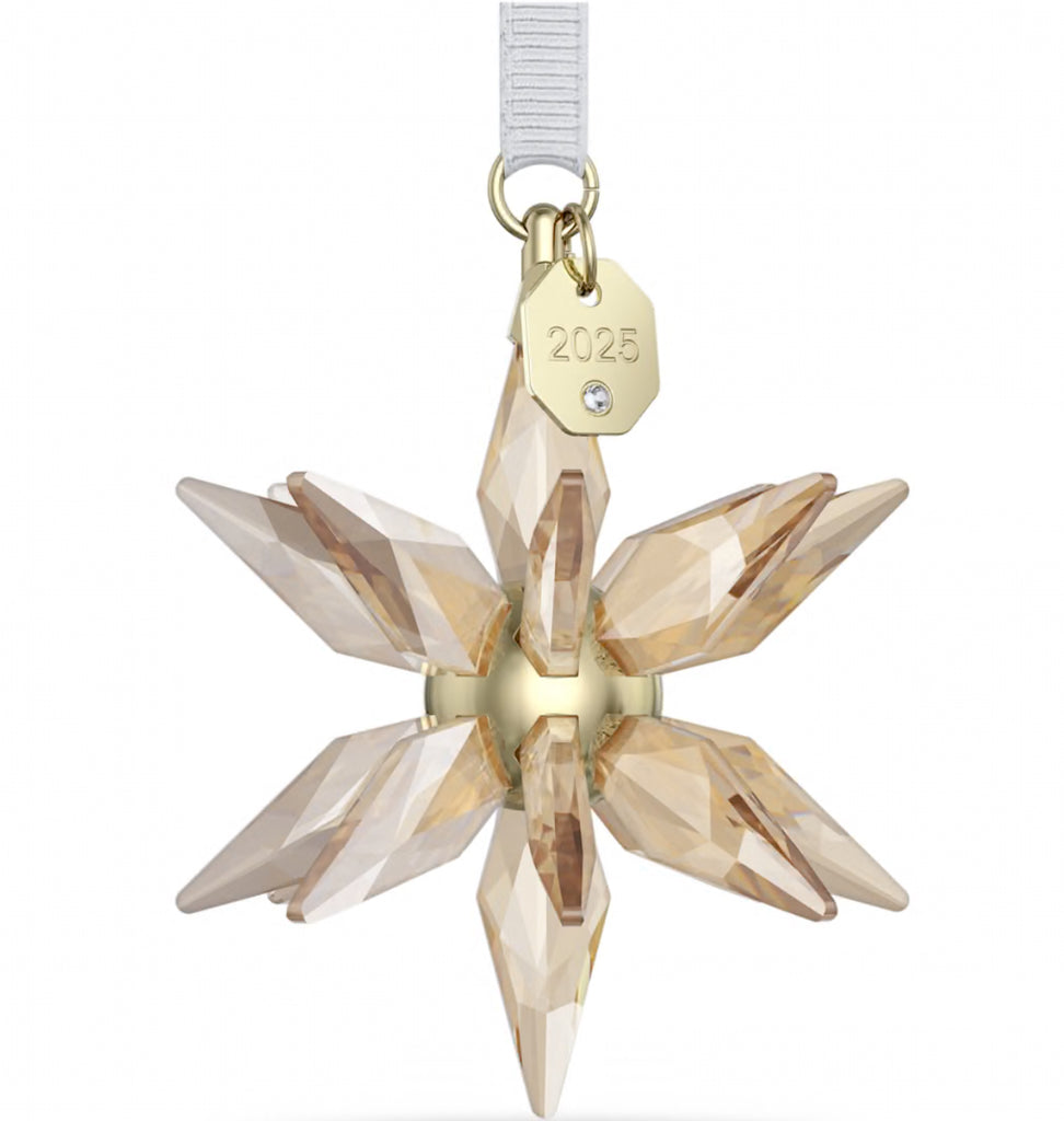 Annual Edition 2025: 3D Festive Snowflake Ornament