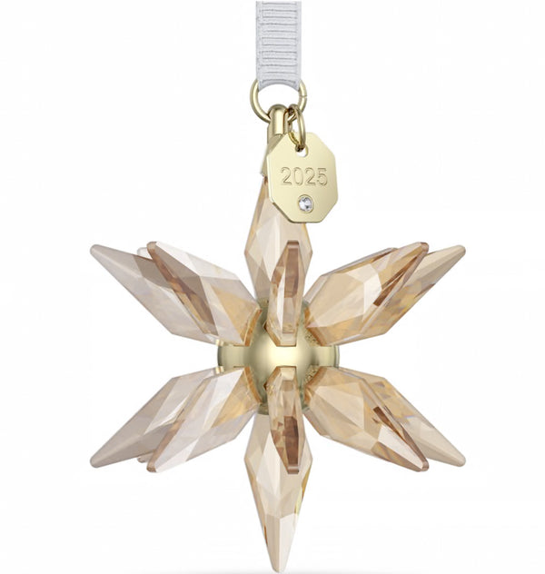 Annual Edition 2025: 3D Festive Snowflake Ornament