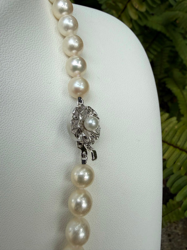 Japanese Akoya Pearls Necklace Strand (A)