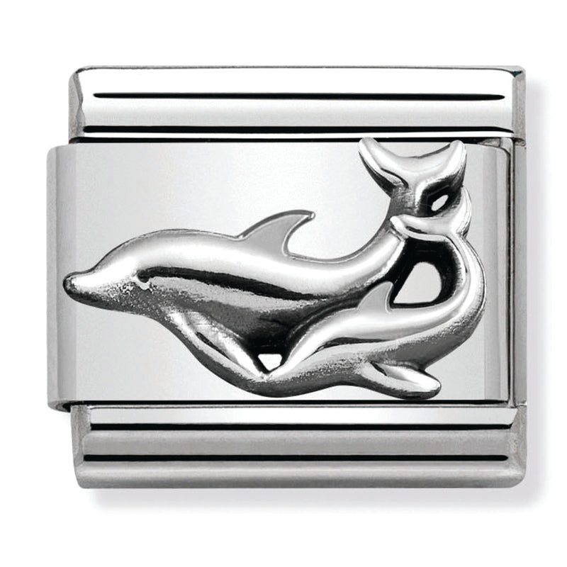 Animals - Dolphins Silver Charm