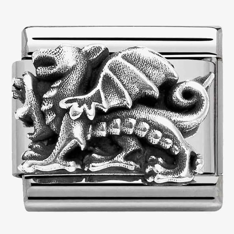 Animals - Dragon Oxidised Silver Charm
