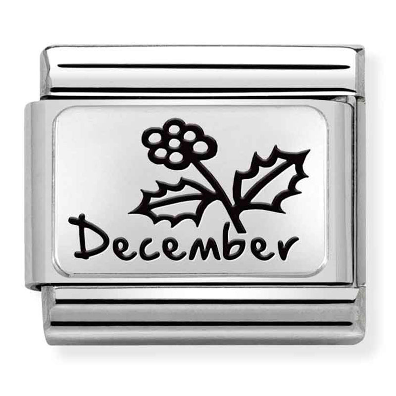 Birth Flower - December (Holly) Silver Charm