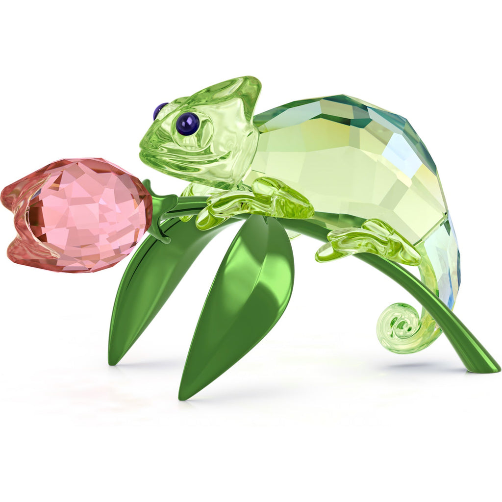 Idyllia: Chameleon and Tulip