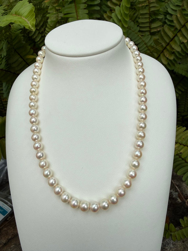 Japanese Akoya Pearls Necklace Strand (E)