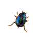 Sticky Image