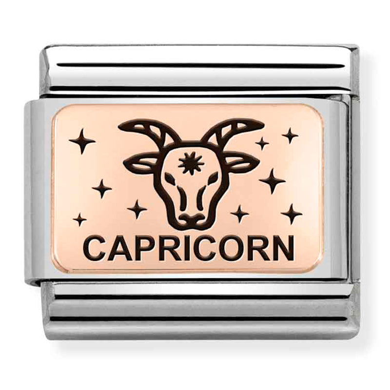 Zodiac - Capricorn Rosegold Charm