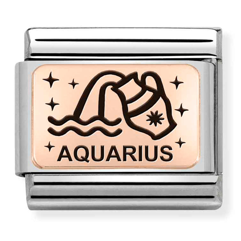 Zodiac - Aquarius Rosegold Charm
