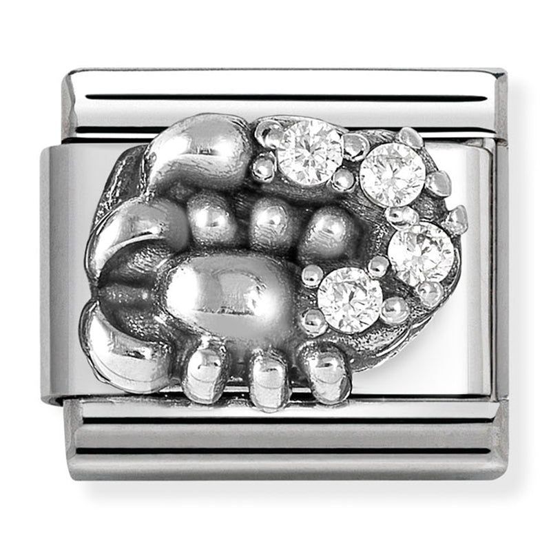 Zodiac - Scorpio with CZ Silver Charm