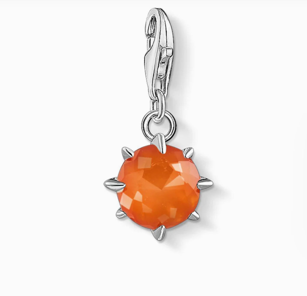 Birthstone - January Silver Charm