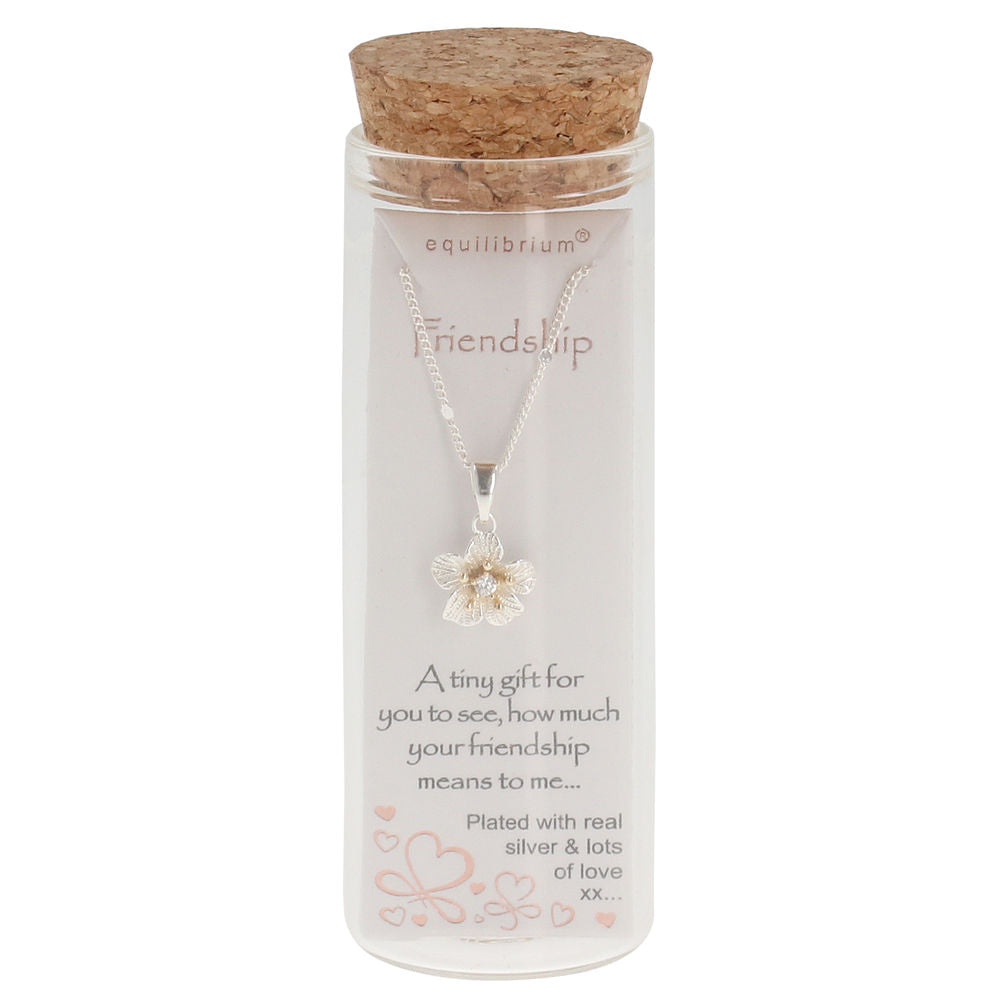 Equilibrium - Message in a Bottle - FRIENDSHIP NECKLACE
