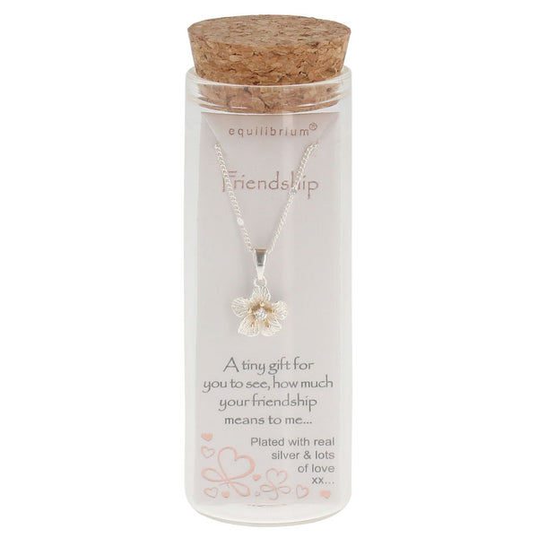 Equilibrium - Message in a Bottle - FRIENDSHIP NECKLACE
