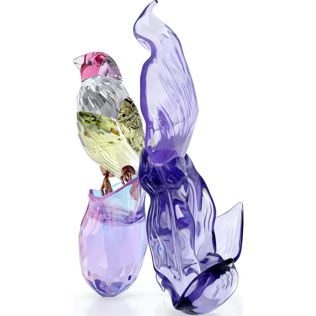 Idyllia: Gouldian Finch and Orchid