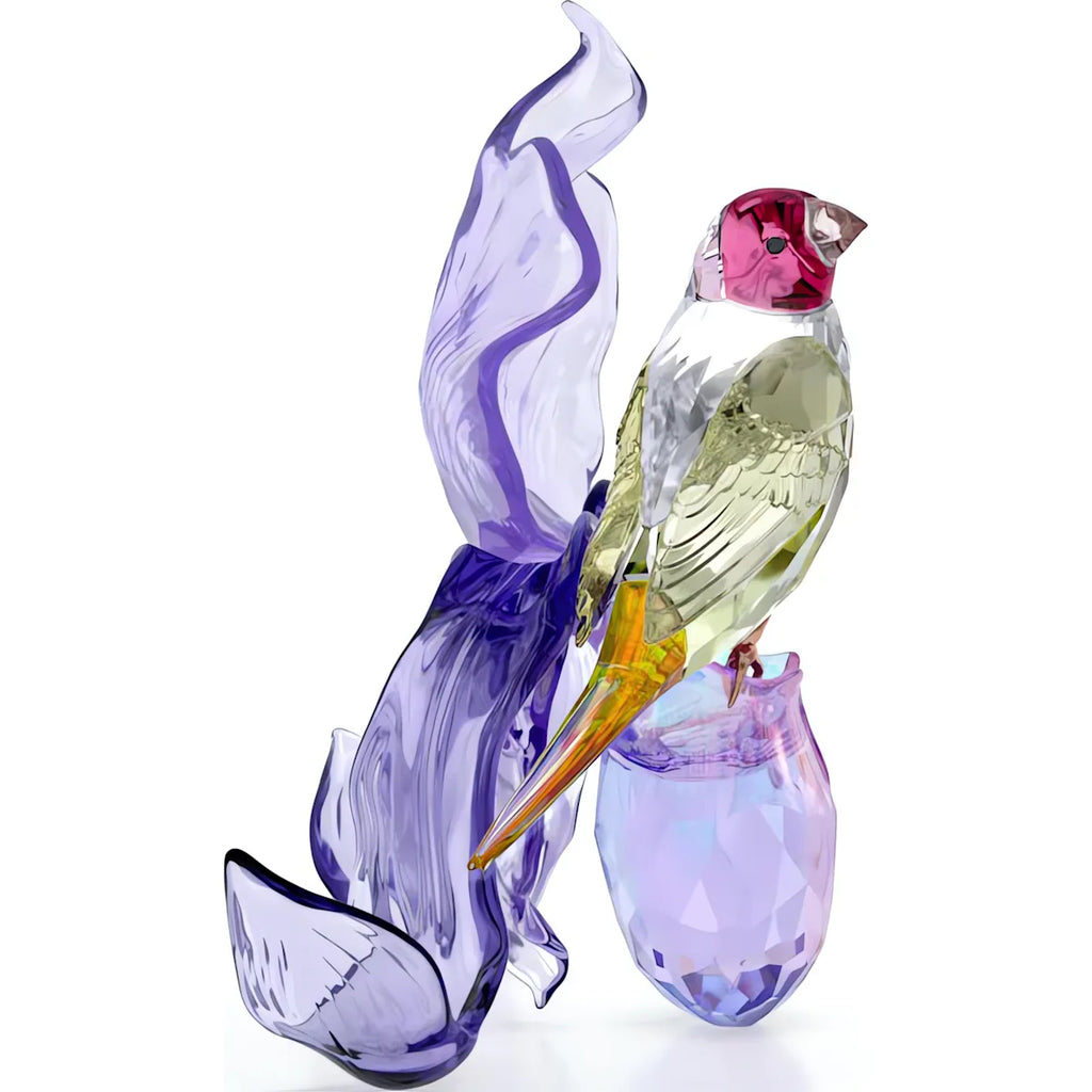 Idyllia: Gouldian Finch and Orchid