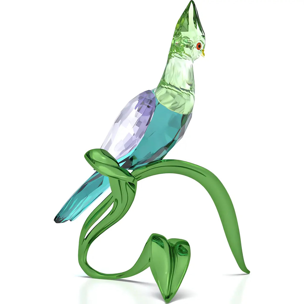 Idyllia: Green Turaco