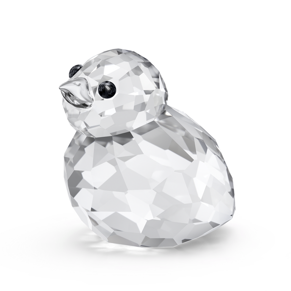 SCS 2026 Idyllia Baby Pheasant