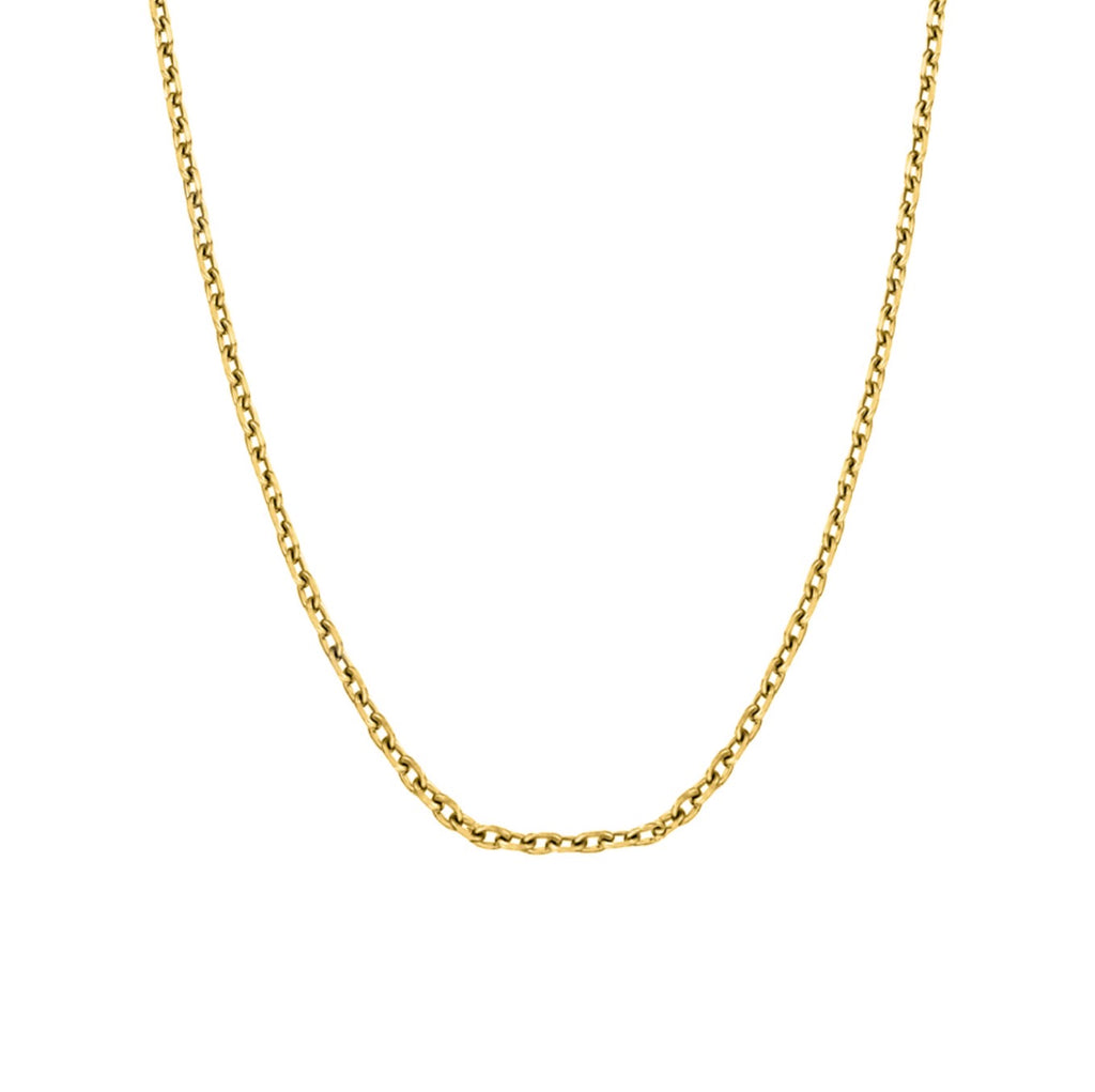 Chain - Blaze Stainless Steel Fine 2mm Cable - 2 Colours