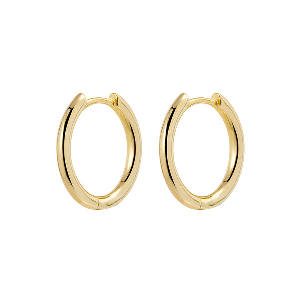 Rounded 2.5mm Plain Hoop Earrings - 2 Colours