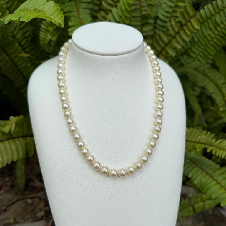 Japanese Akoya Pearls Necklace Strand (F)