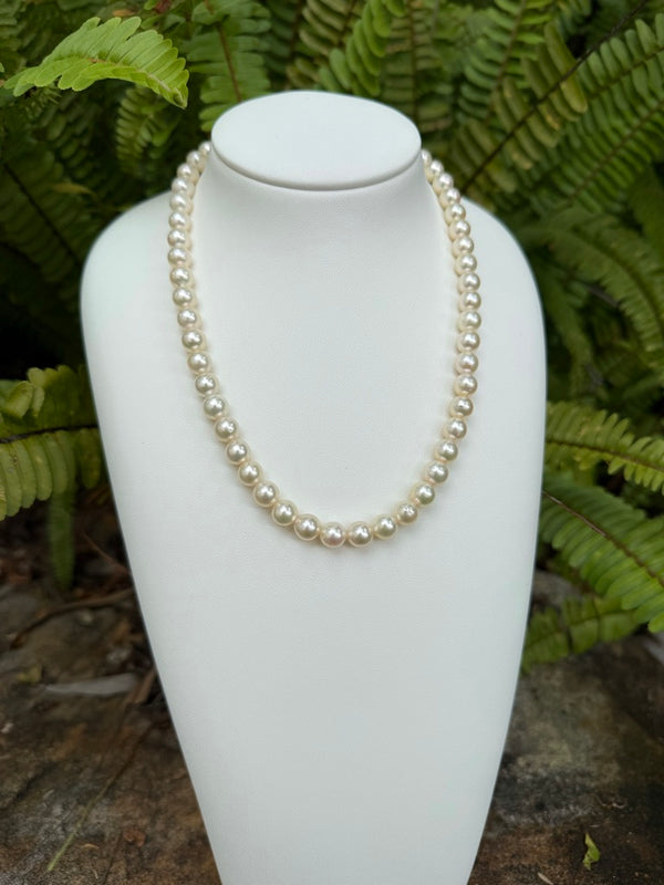 Japanese Akoya Pearls Necklace Strand (F)