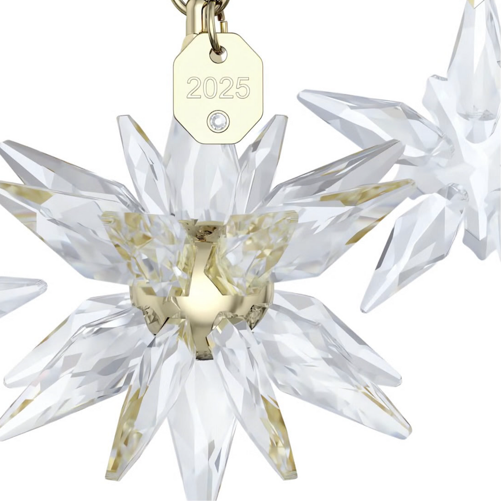 Annual Edition: 3D 2025 Ornament Set