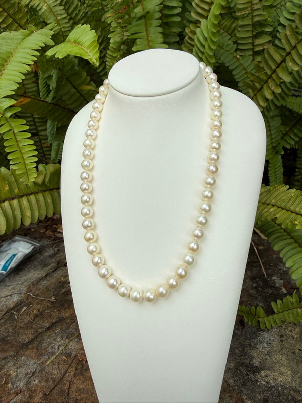 Japanese Akoya Pearls Necklace Strand (B)