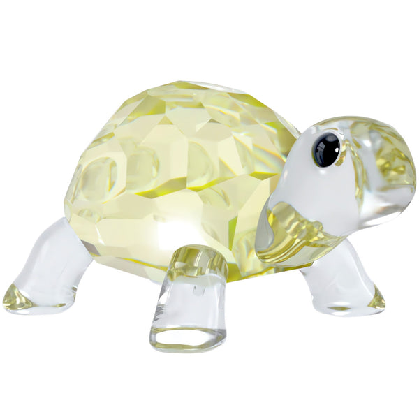 Idyllia: Baby Tortoise