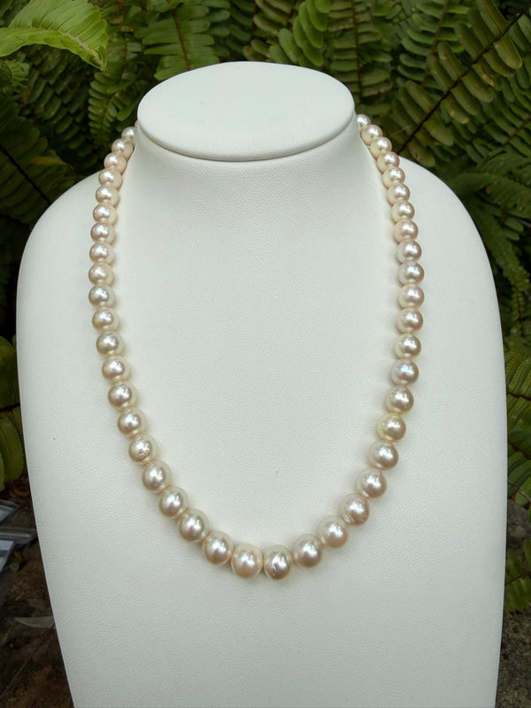 Japanese Akoya Pearls Necklace Strand