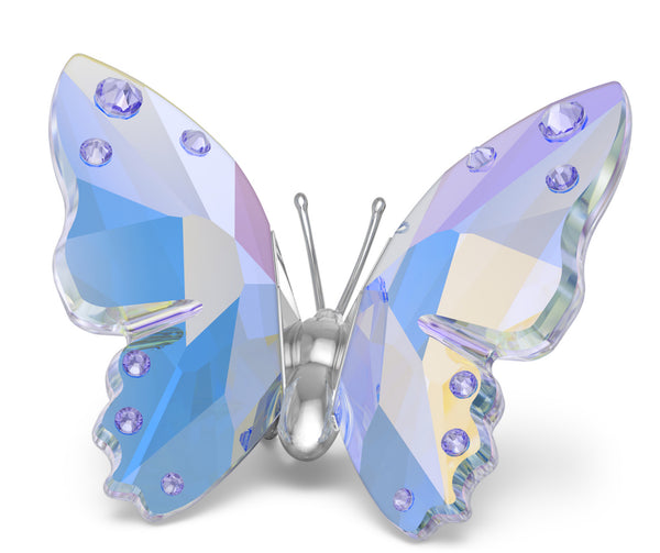 2026 Capsule Ariana Grande: Butterfly