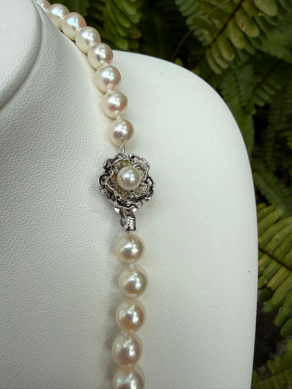 Japanese Akoya Pearls Necklace Strand (E)
