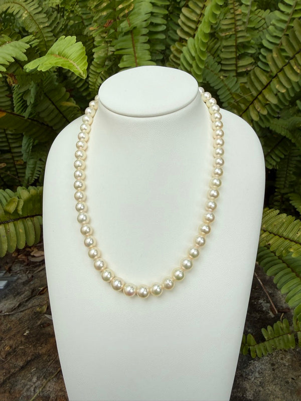 Japanese Akoya Pearls Necklace Strand (F)