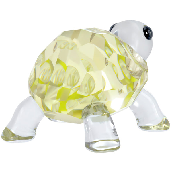 Idyllia: Baby Tortoise