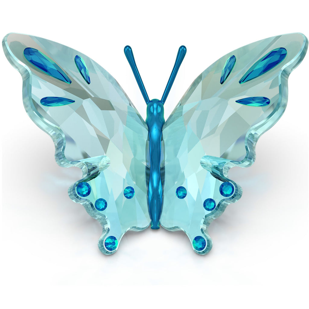Idyllia: Turquoise Butterfly