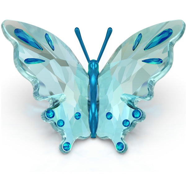 Idyllia: Turquoise Butterfly