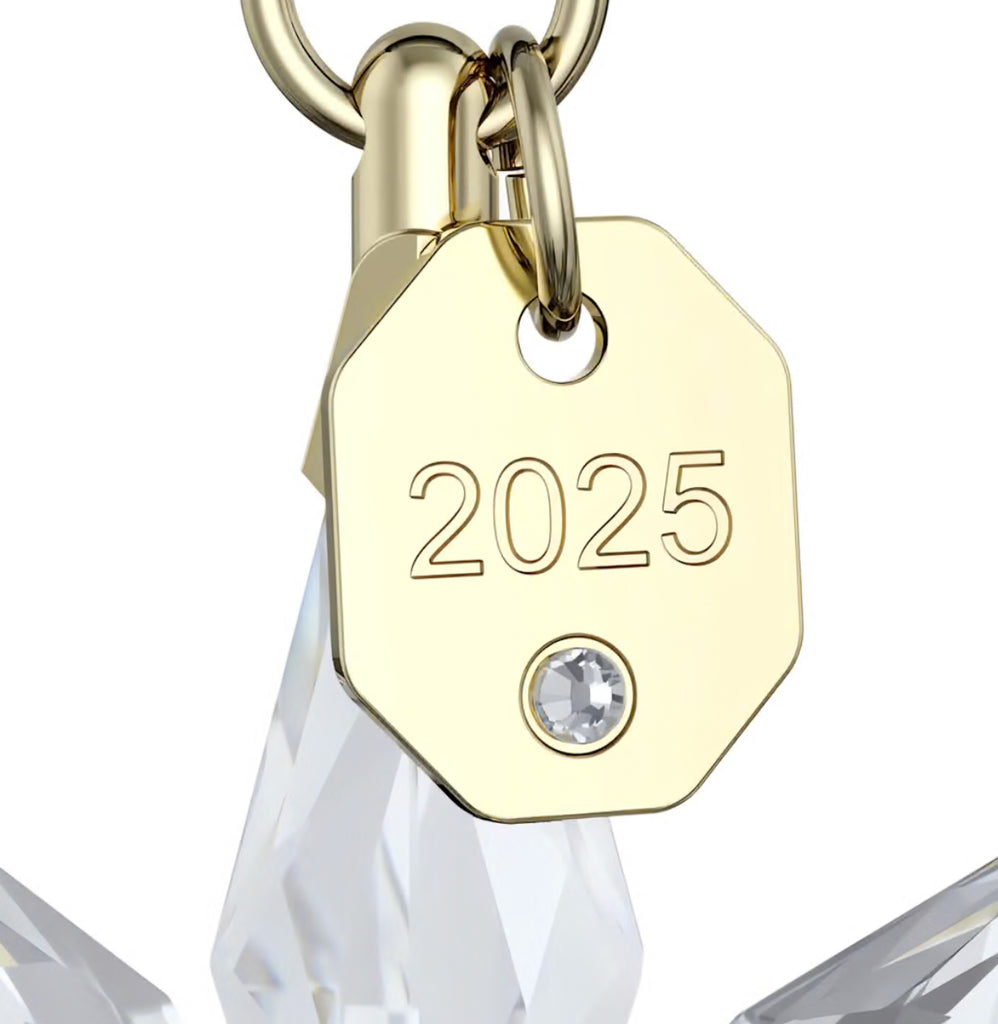 Annual Edition: 3D 2025 Ornament Set