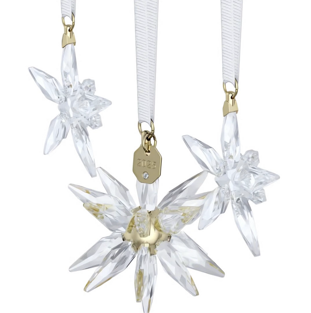 Annual Edition: 3D 2025 Ornament Set