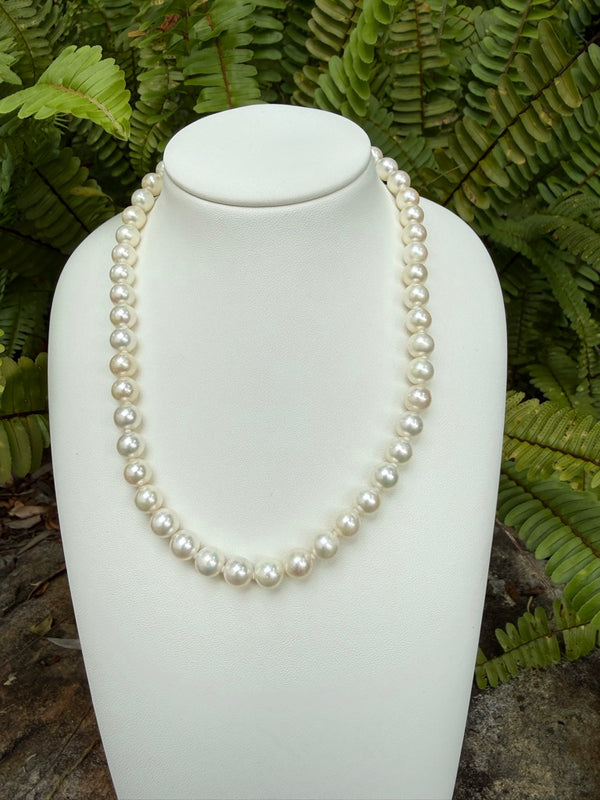 Japanese Akoya Pearls Necklace Strand (C)