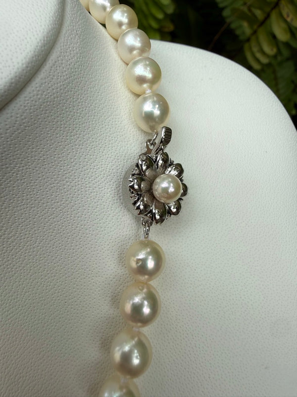 Japanese Akoya Pearls Necklace Strand (F)