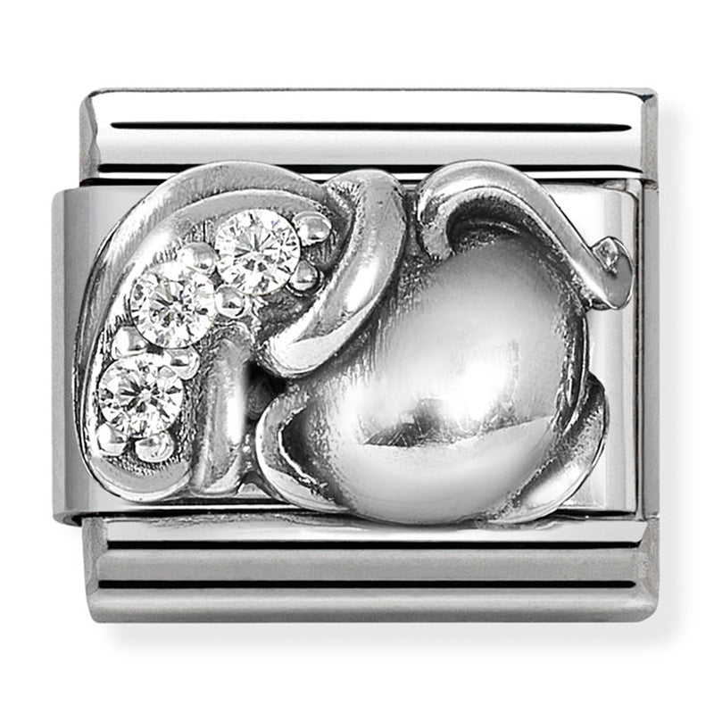 Zodiac - Aquarius with CZ Silver Charm