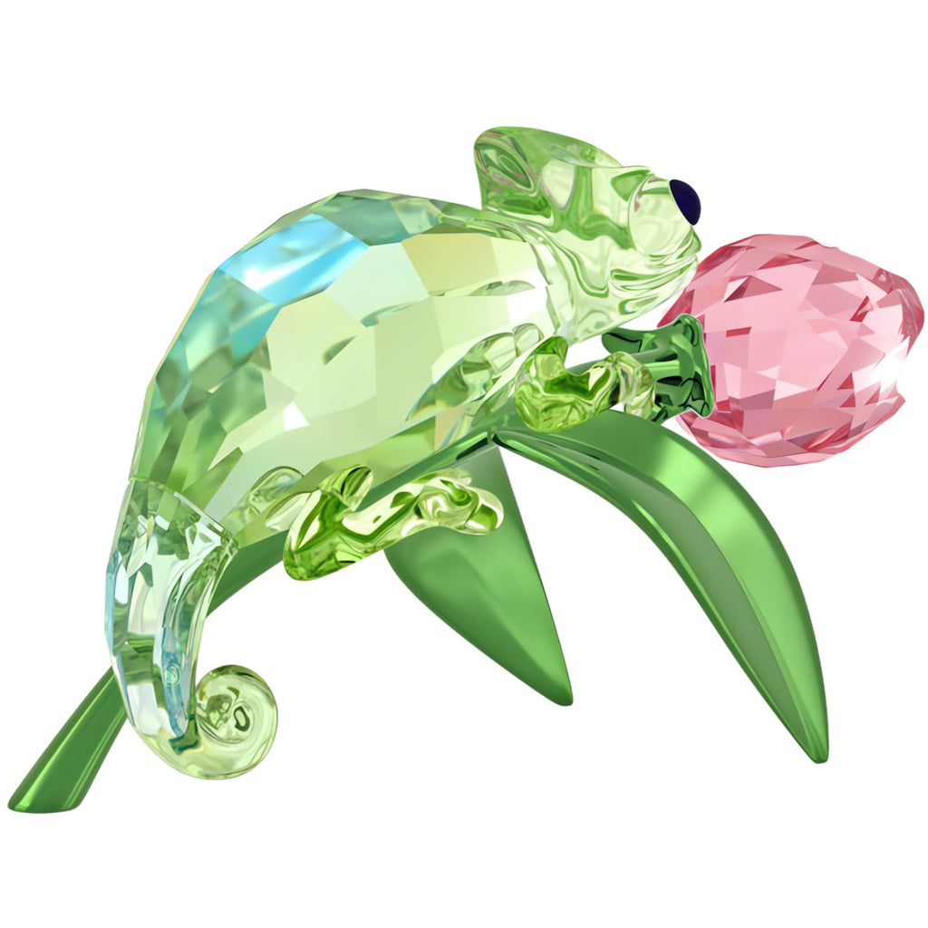 Idyllia: Chameleon and Tulip