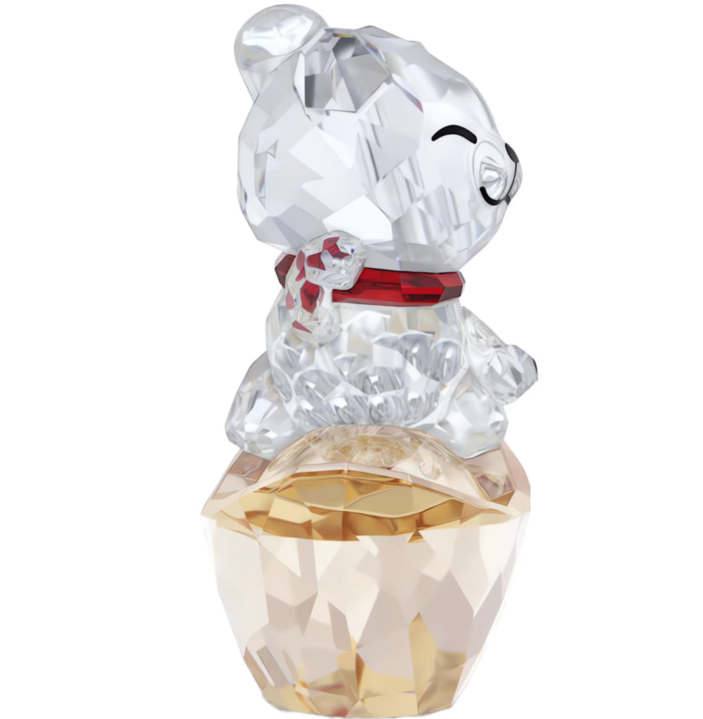 Asian Symbol: Lucky Cat