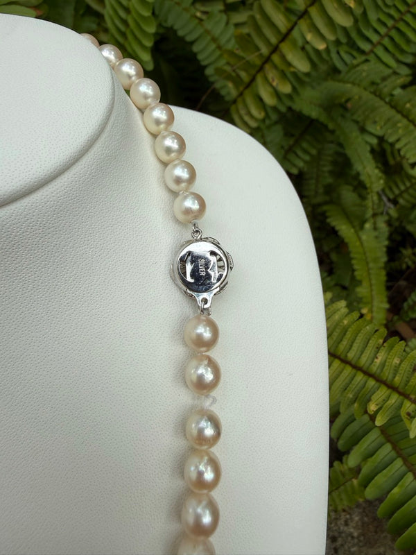 Japanese Akoya Pearls Necklace Strand