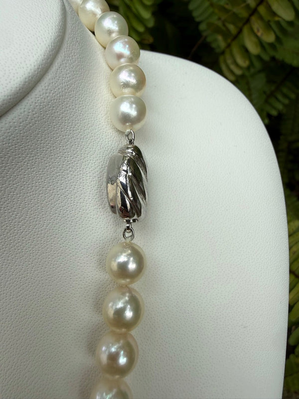 Japanese Akoya Pearls Necklace Strand (B)