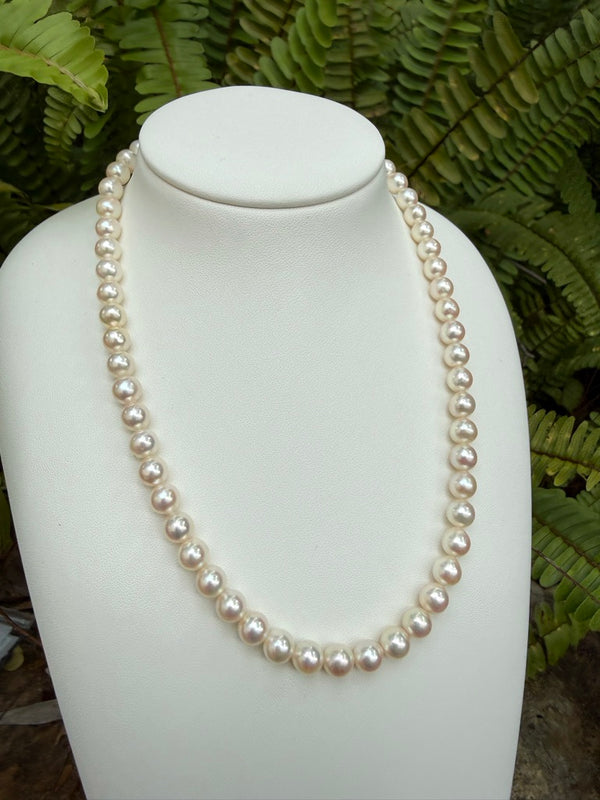 Japanese Akoya Pearls Necklace Strand (E)